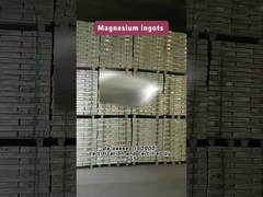 Magnesium Ingot